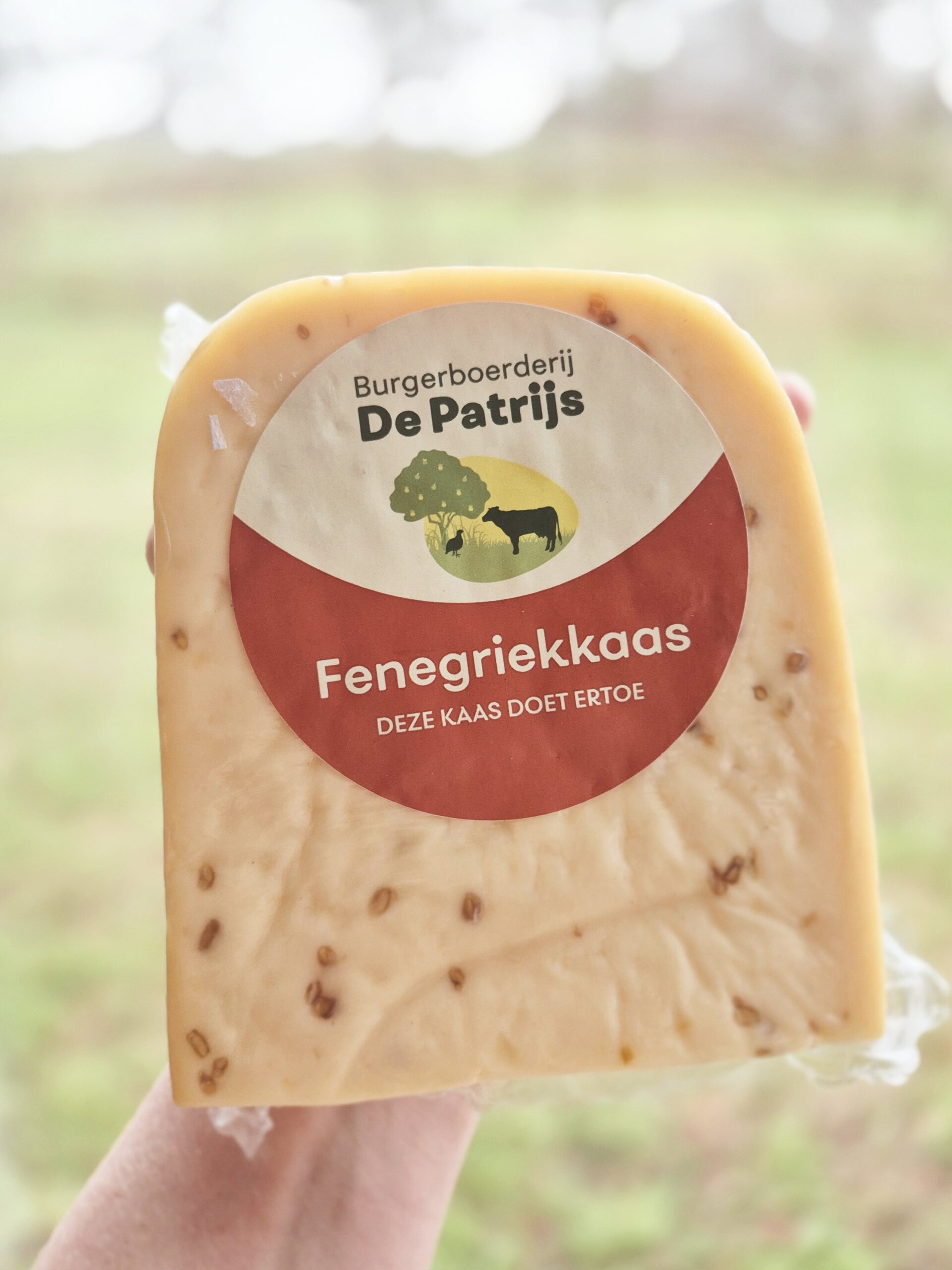 rauwmelkse kaas fenegriek