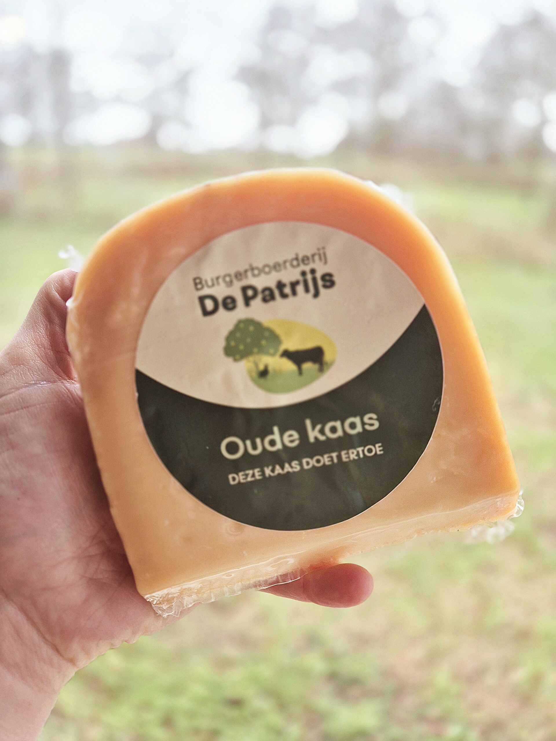 rauwmelkse kaas oud