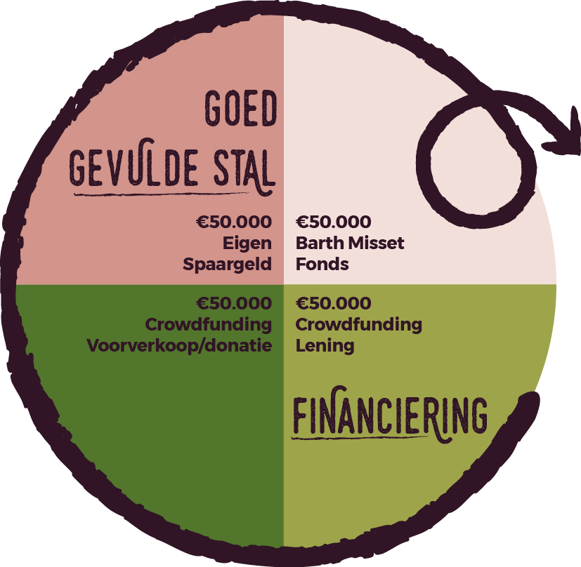 Crowdfunding overzicht financien infographic