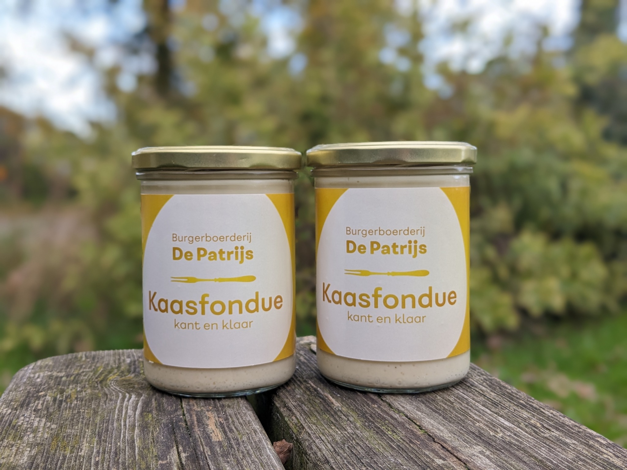 kaasfondue